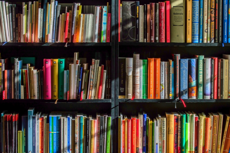 magasin-SAORGE-min_books_bookstore_book_reading_shop_writer_sale_books_read-822866